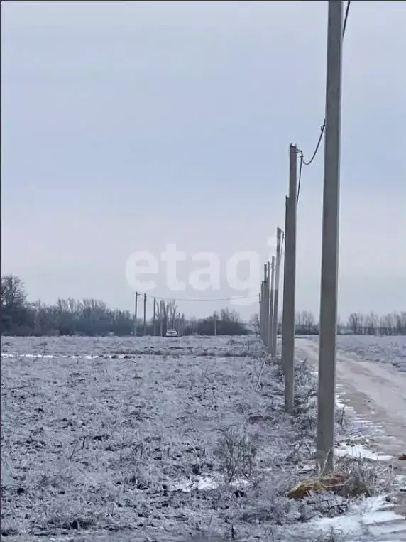 Участок в Ростовская область, Мясниковский район, Краснокрымское ... - Фото 1