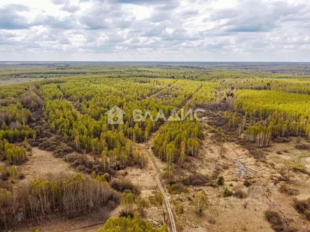 Участок в Владимирская область, Судогодский район, Головинское ... - Фото 1