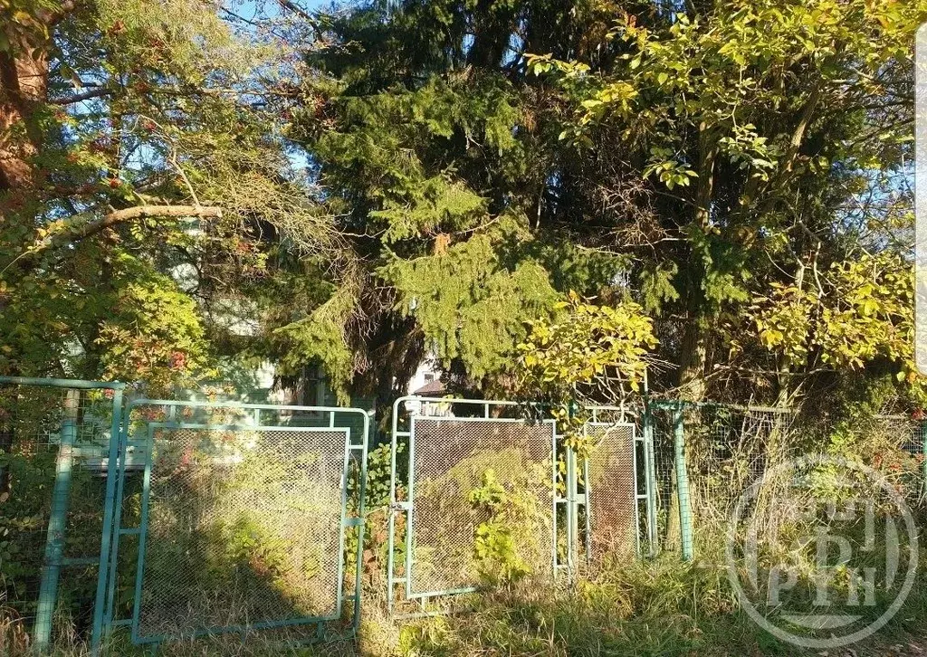 Участок в Ленинградская область, Кировский район, Синявинское ... - Фото 2