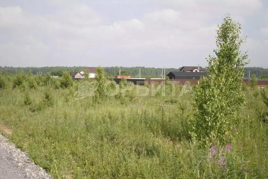 Участок в Тюменская область, Тюменский район, с. Кулига, Кулига-2 мкр  ... - Фото 0