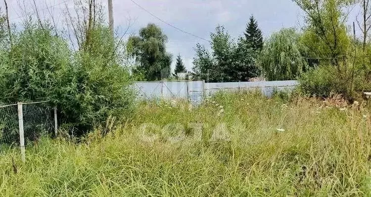 Участок в Воронежская область, Новоусманский район, Усманское 1-е ... - Фото 1