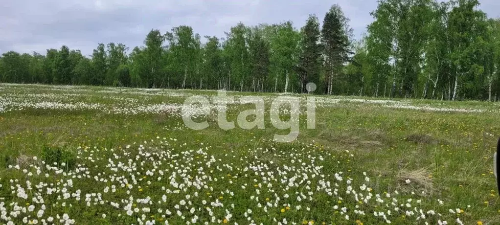 участок в красноярский край, емельяновский район, шуваевский . - Фото 0