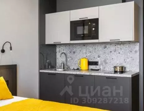 Студия Санкт-Петербург Ташкентская ул., 6к2 (25.0 м) - Фото 1