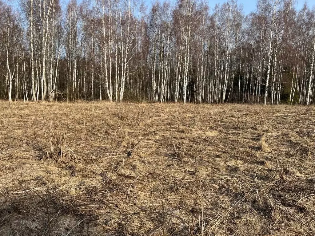 Участок в Владимирская область, Киржачский район, Кипревское ... - Фото 0