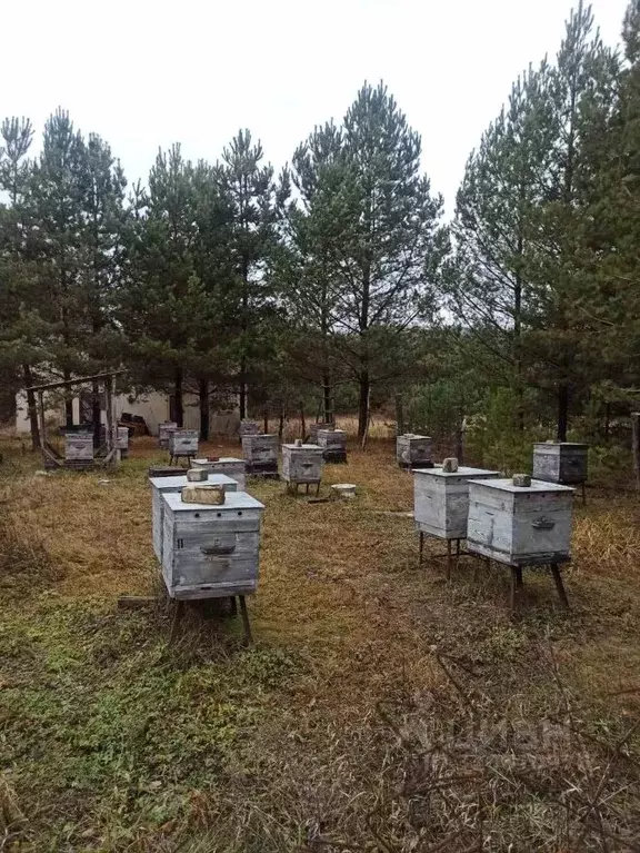 Участок в Нижегородская область, Арзамас городской округ, с. Новоселки ... - Фото 0