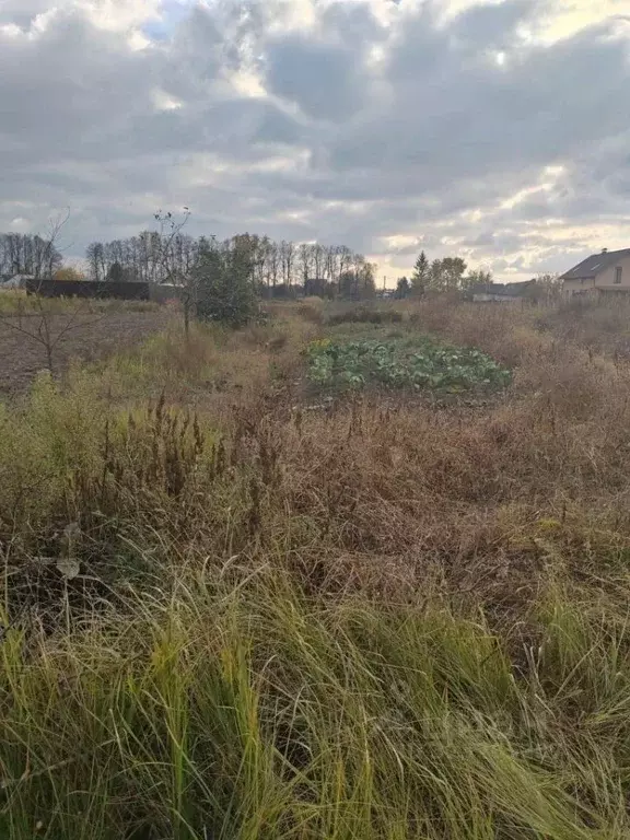 Участок в Брянская область, Брянский район, Отрадненское с/пос, с. ... - Фото 1