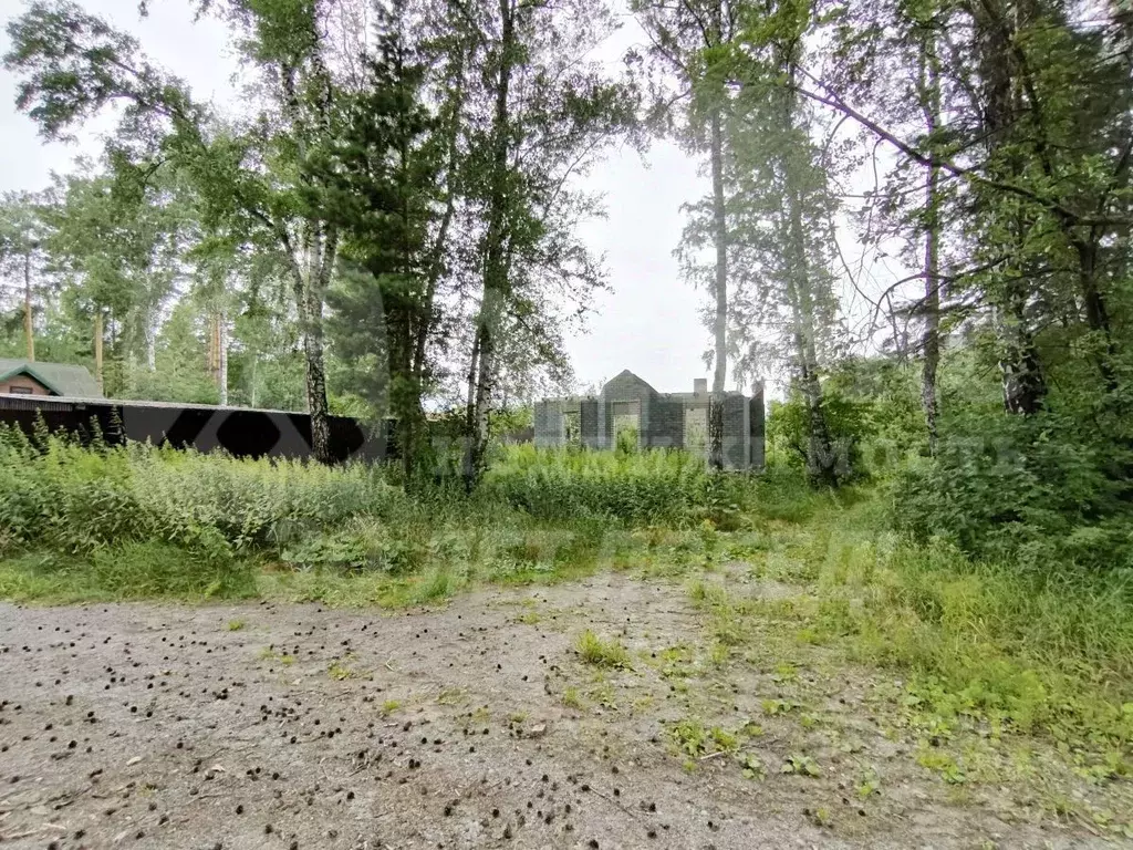 Участок в Тюменская область, Тюменский район, с. Перевалово Заречная ... - Фото 2