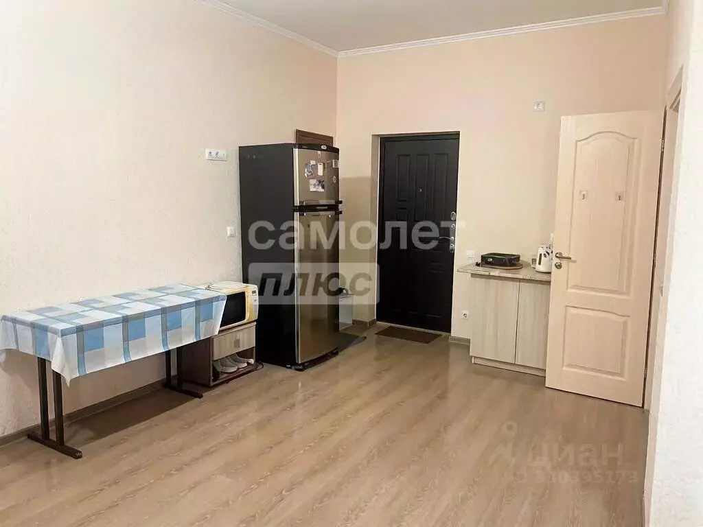 Студия Краснодарский край, Анапа Пионерский просп., 57к1 (26.0 м) - Фото 2