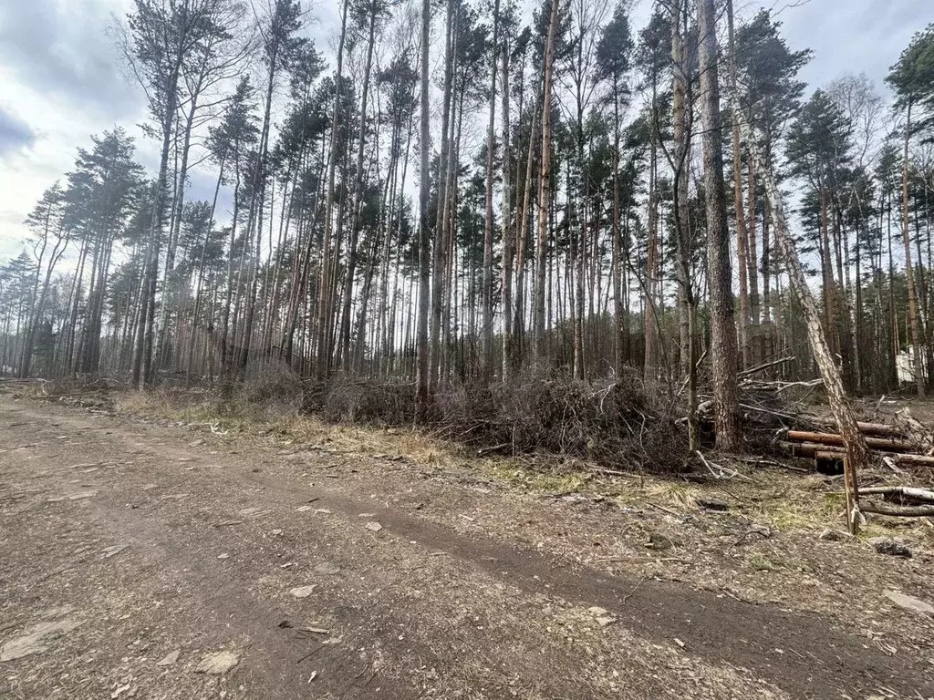 Участок 16,8 сот. (СНТ, ДНП) - Фото 1