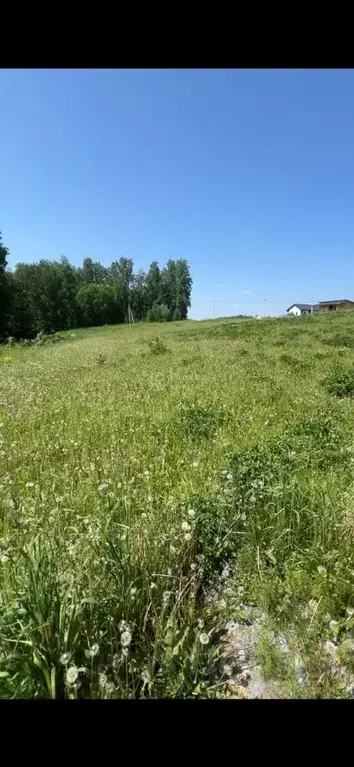 Участок в Новосибирская область, Новосибирский район, Раздольненский ... - Фото 0