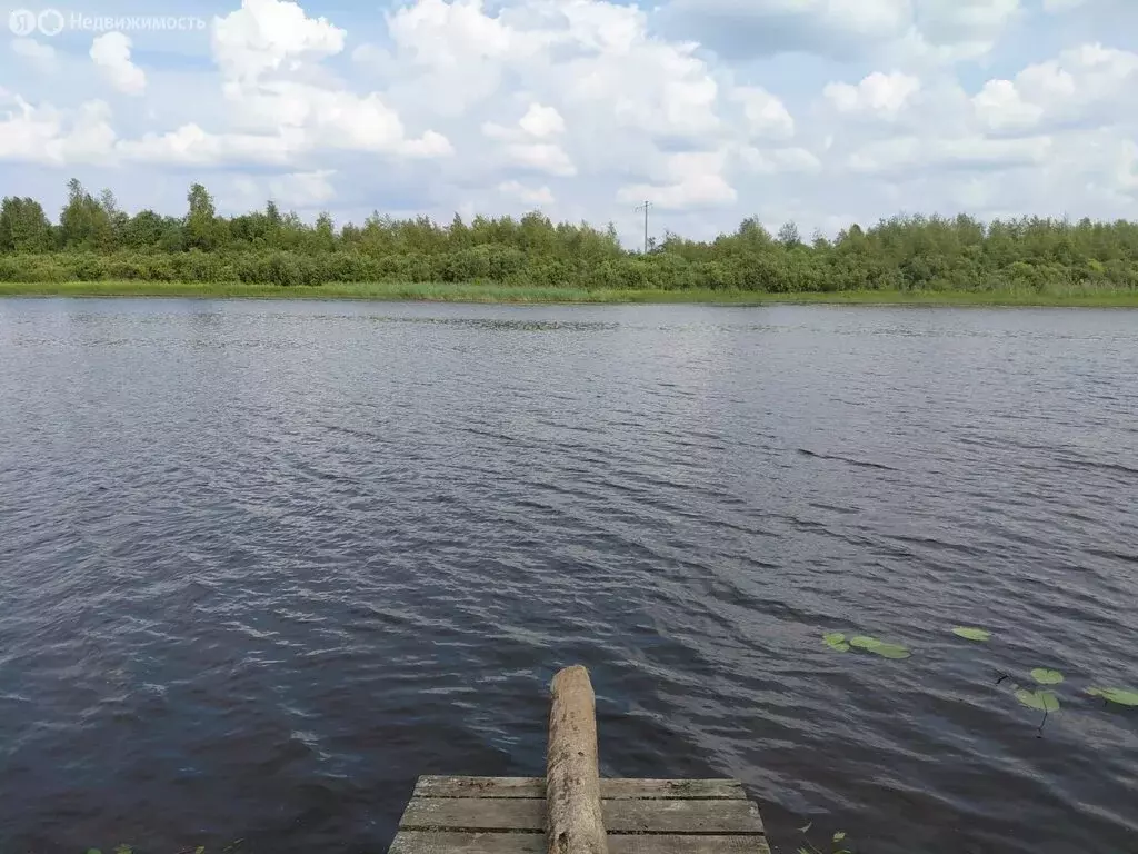 Дом в Доможировское сельское поселение, деревня Горловщина, 3 (54.4 м) - Фото 1