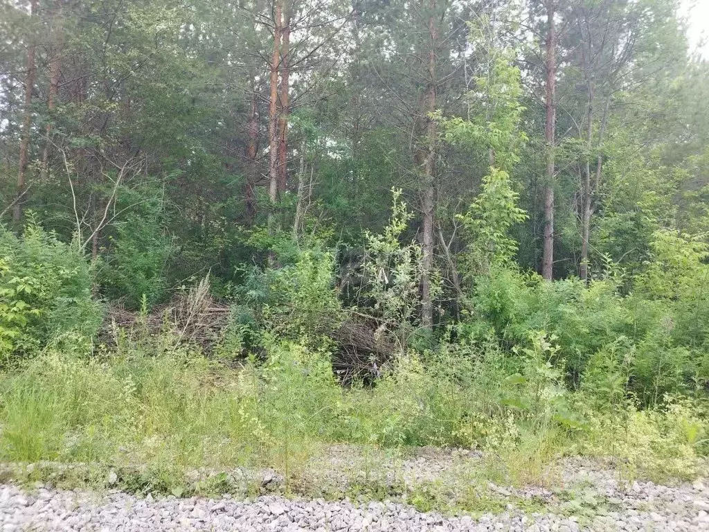 Участок в Свердловская область, Талица  (10.0 сот.) - Фото 1