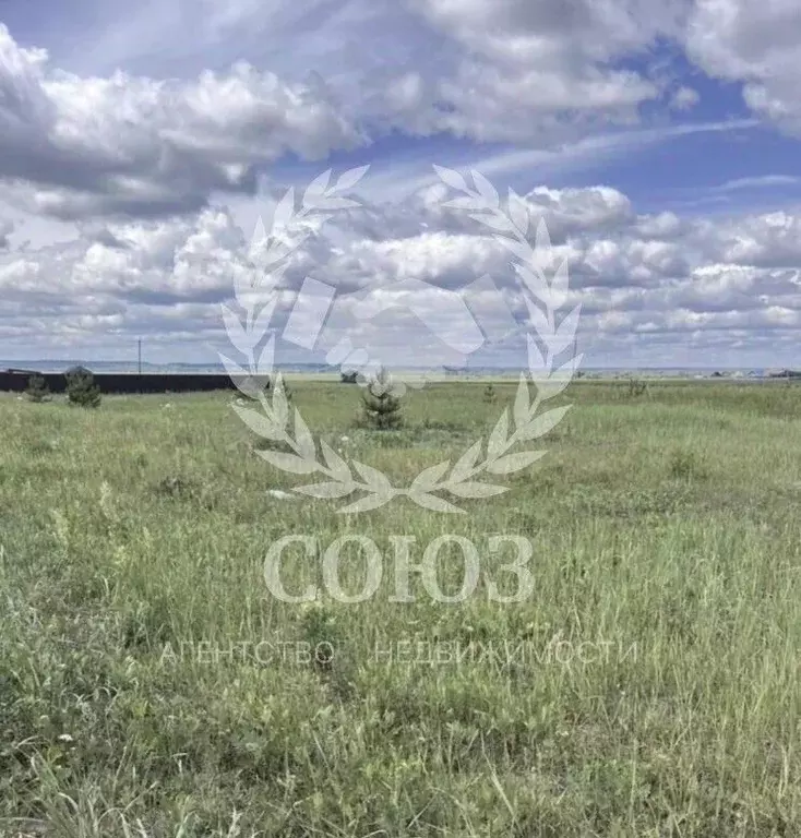 Участок в Калужская область, Дзержинский муниципальный округ, Дворцы ... - Фото 1