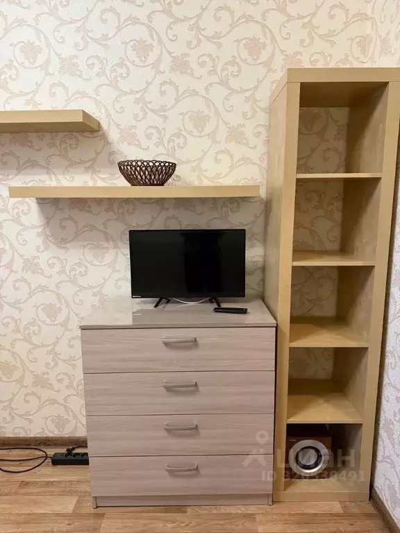 Студия Санкт-Петербург просп. Кузнецова, 14к2 (25.2 м) - Фото 2