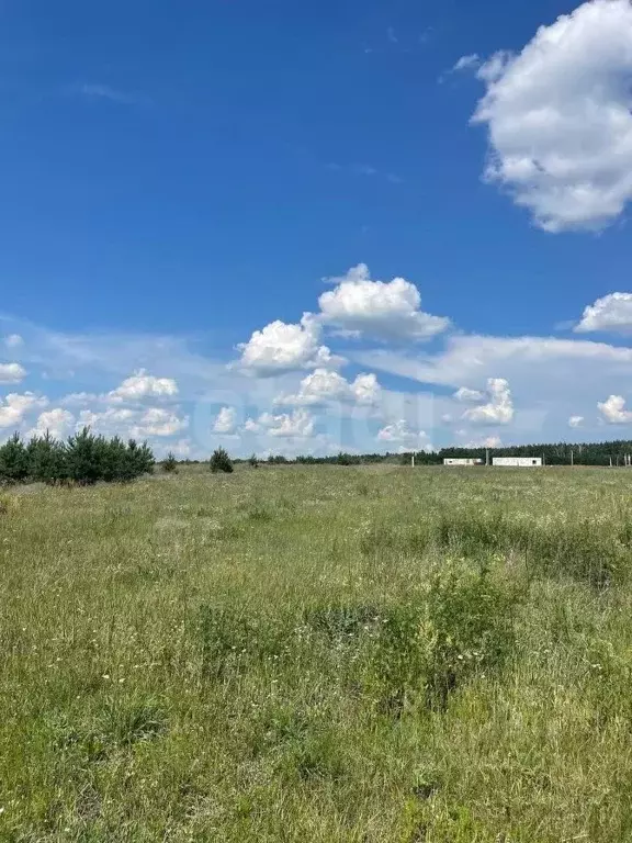 Дом в Белгородская область, Старооскольский городской округ, с. ... - Фото 1