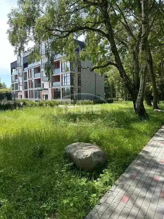 Участок в Светлогорский городской округ, посёлок Лесное (10.95 м) - Фото 2