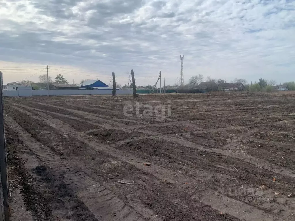 Участок в Амурская область, Серышевский муниципальный округ, с. ... - Фото 1