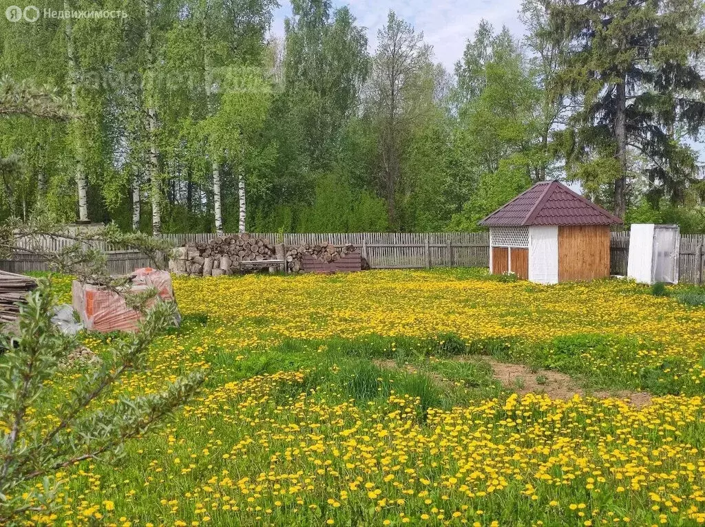 Участок в Медведевский район, Пекшиксолинское сельское поселение, ... - Фото 1