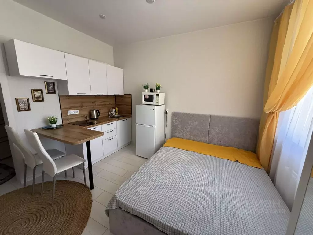 Студия Тюменская область, Тюмень ул. 2-я Луговая, 24к2 (24.0 м) - Фото 1