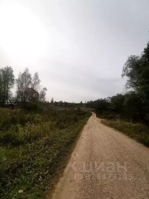 Участок в Тульская область, Веневский муниципальный округ, д. Марьинка ... - Фото 2