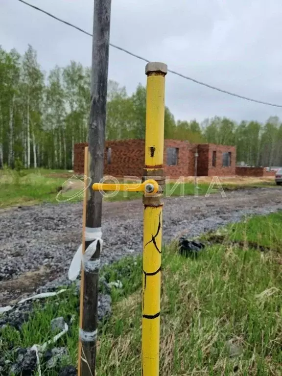 Участок в Тюменская область, Тюменский район, д. Елань 14 (7.0 сот.) - Фото 1