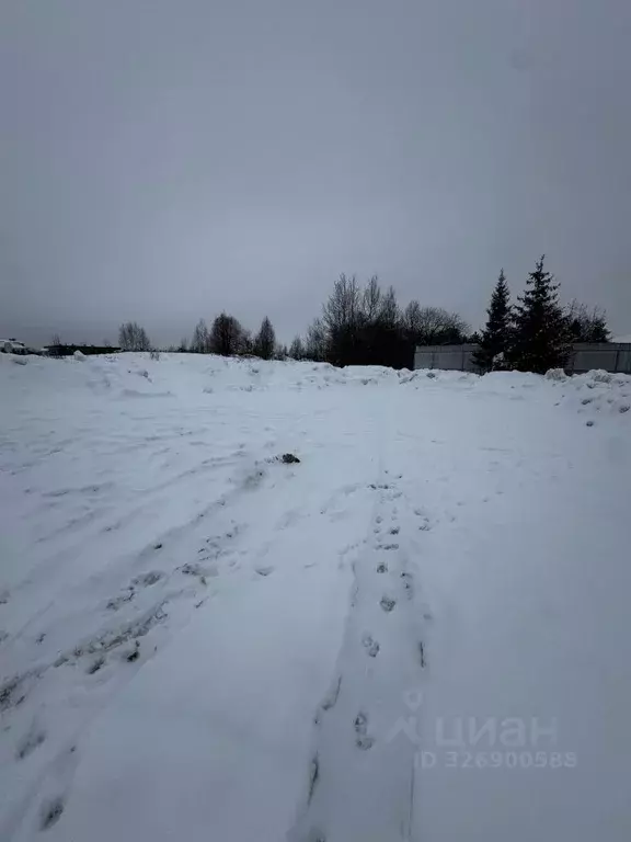 Участок в Московская область, Истра муниципальный округ, д. Чесноково  ... - Фото 1