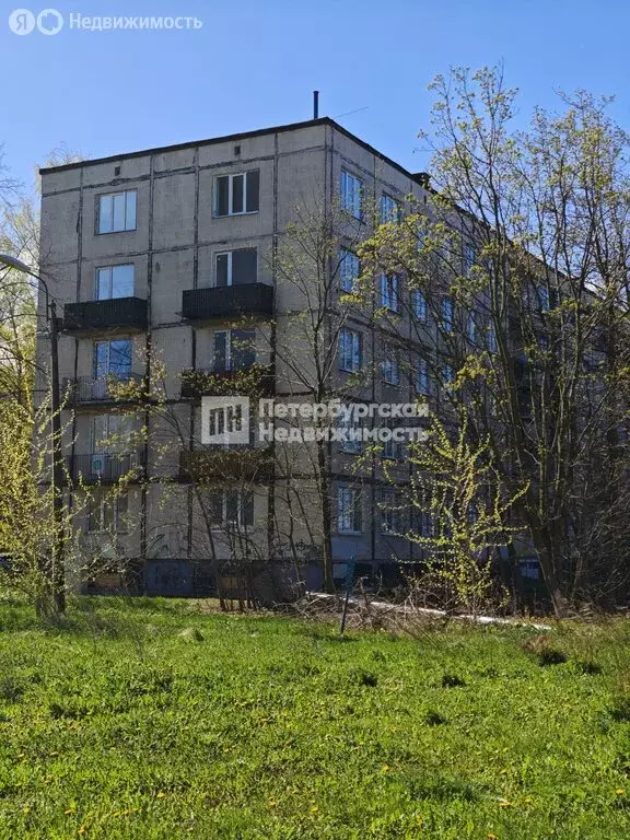 Помещение свободного назначения (48.5 м) - Фото 1