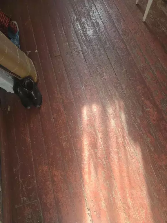 Студия Алтайский край, Барнаул Комсомольский просп., 112 (14.8 м) - Фото 2