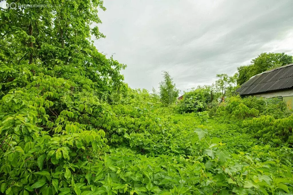 Участок в деревня Любаново, Парковая улица, 32 (15.82 м) - Фото 1