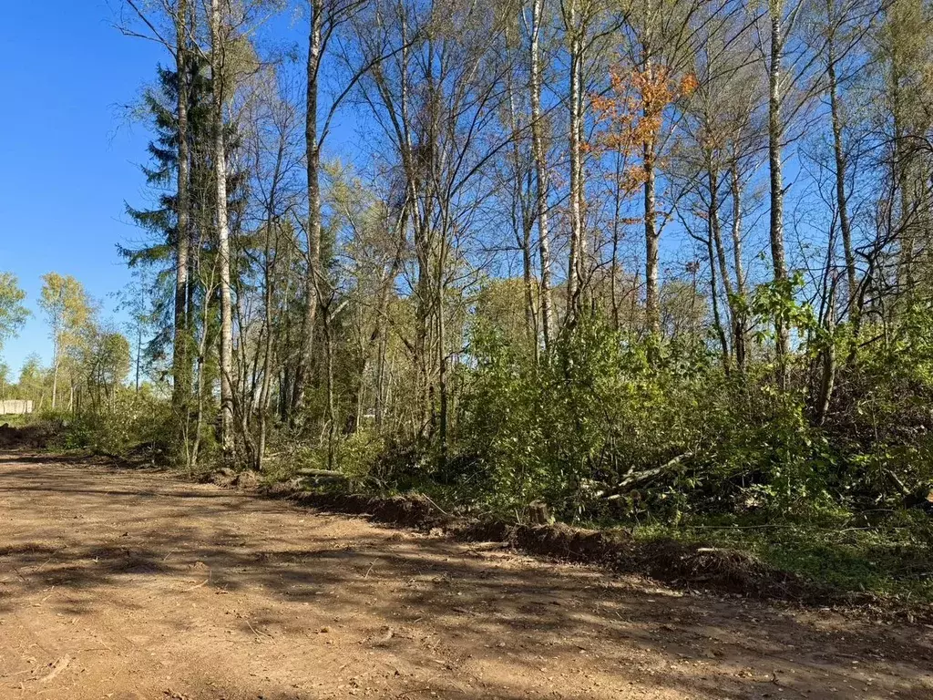 Участок в Московская область, Рузский муниципальный округ, пос. ... - Фото 1