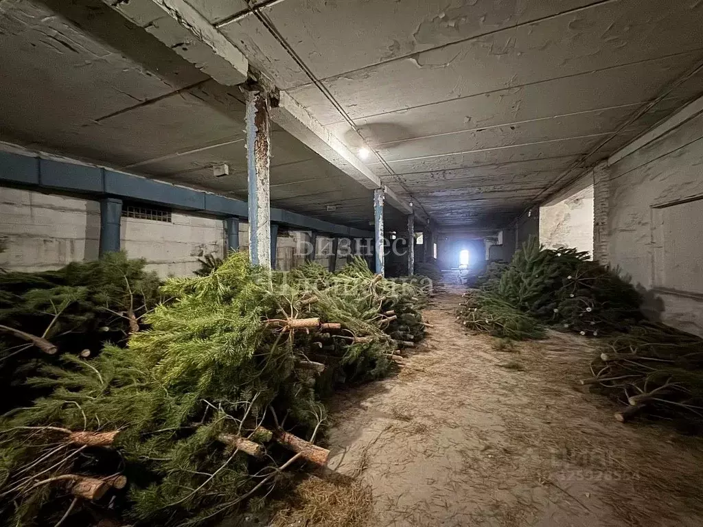 Помещение свободного назначения в Ульяновская область, Ульяновск ... - Фото 1