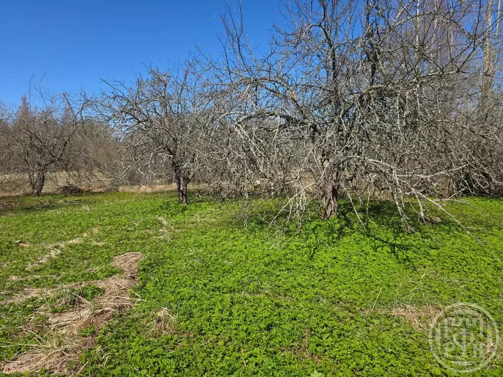 Участок в Ленинградская область, Приозерский район, Ларионовское ... - Фото 1
