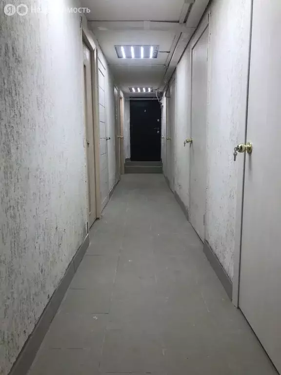 Офис (55.4 м) - Фото 2