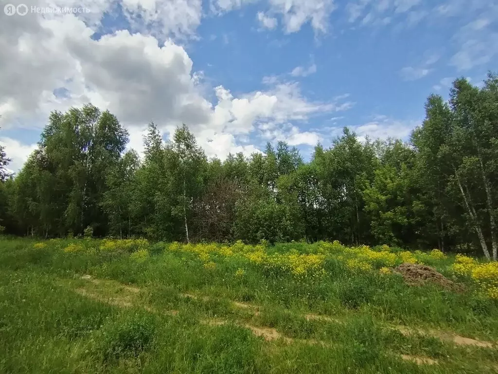 Участок в село Большое Мокрое, Новая улица (17.48 м) - Фото 1