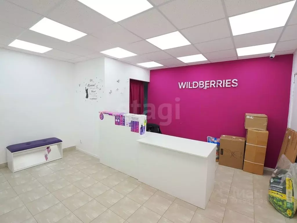 Помещение свободного назначения в Псковская область, Остров Строитель ... - Фото 1