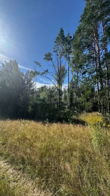 Участок в Нижегородская область, Балахнинский муниципальный округ, д. ... - Фото 1