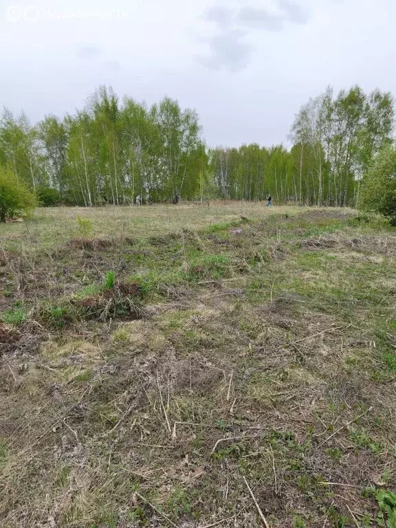 Участок в Омск, Кировский округ (12 м) - Фото 1