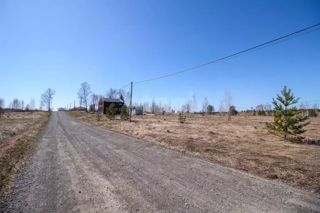 Участок в Алтайский край, Первомайский район, с. Фирсово, Рощино мкр ... - Фото 1
