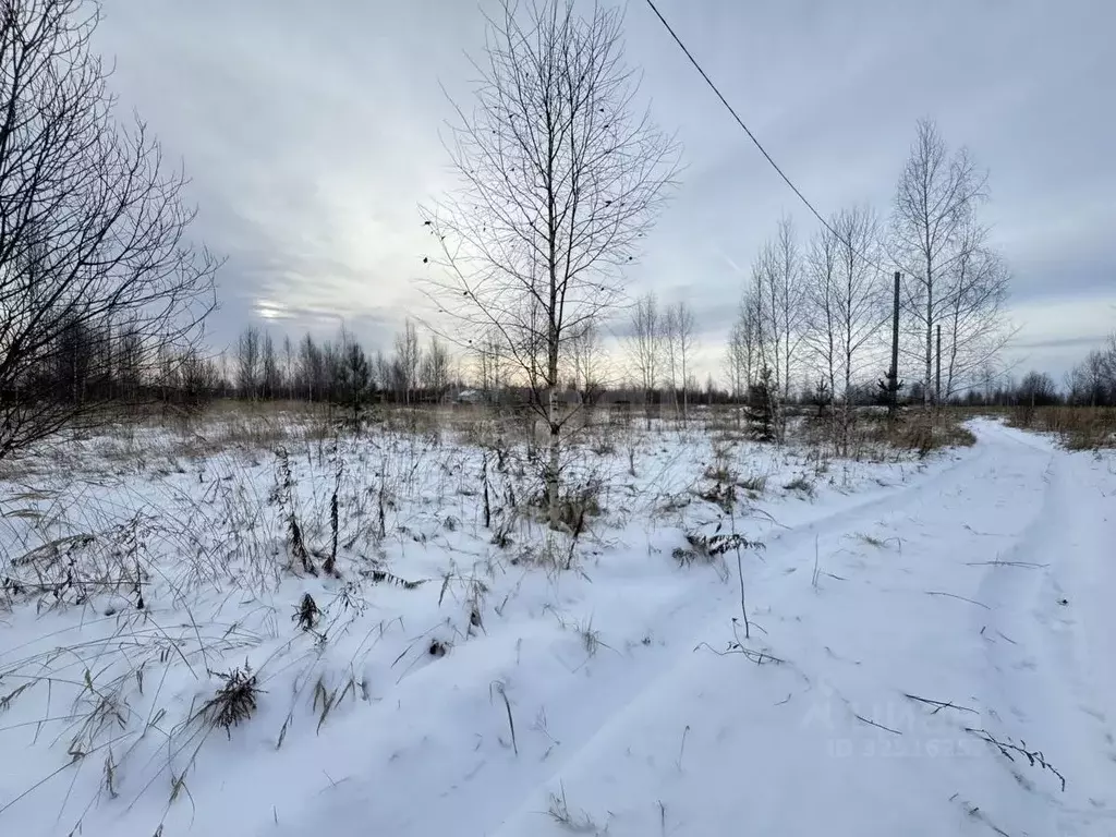 Участок в Марий Эл, Йошкар-Ола городской округ, д. Шоя-Кузнецово  ... - Фото 2