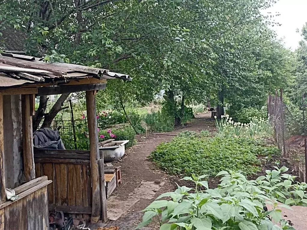 Участок в Саратовская область, Энгельс муниципальное образование, ... - Фото 0