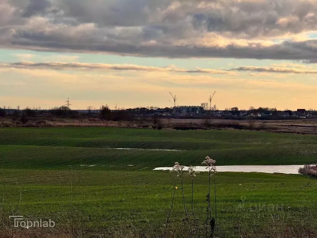 Участок в Калининградская область, Гурьевский муниципальный округ, ... - Фото 1