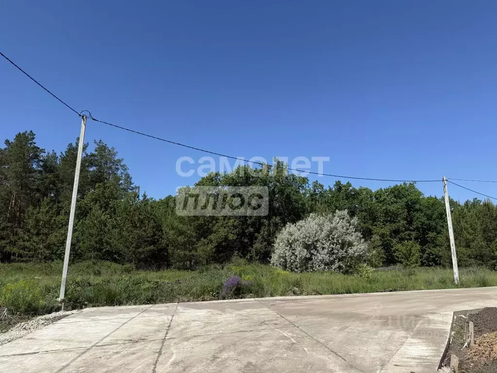 Участок в Самарская область, Ставропольский район, с. Ягодное ул. ... - Фото 2