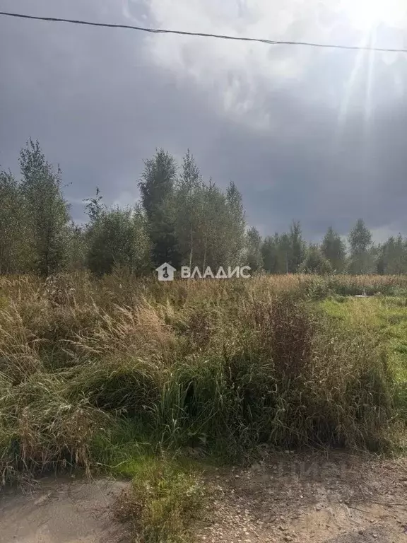 Участок в Нижегородская область, Богородский муниципальный округ, д. ... - Фото 2