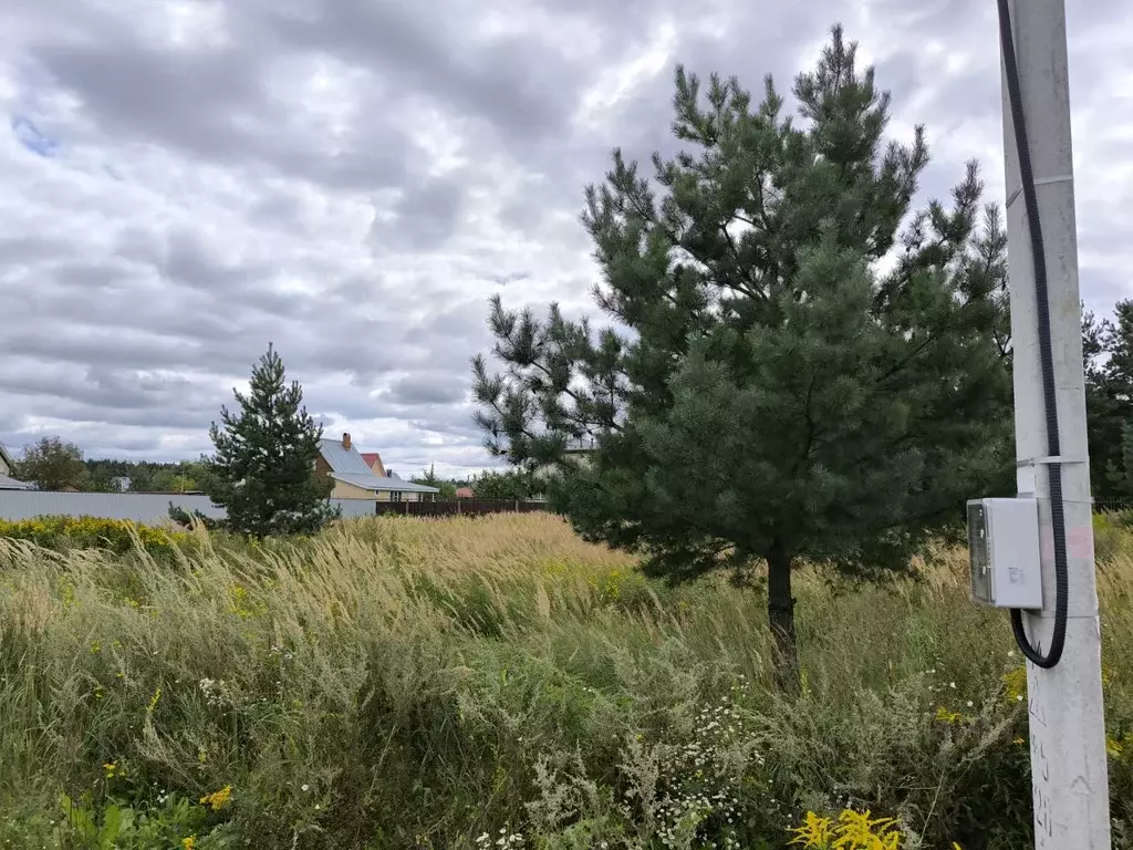 Участок в Московская область, Раменский муниципальный округ, Лесная ... - Фото 1