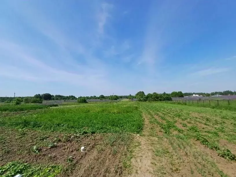 Дом в Нижегородская область, с. Дивеево ул. Лесная (64 м) - Фото 1