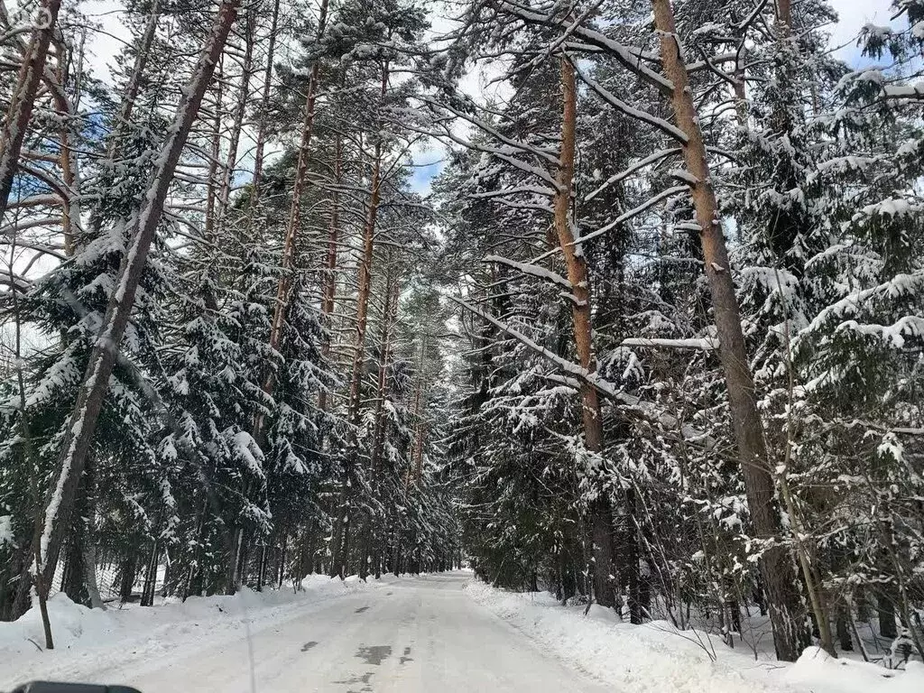 Участок в Богородский городской округ, деревня Калитино (7.5 м) - Фото 0