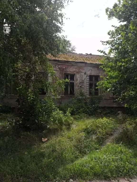 Помещение свободного назначения в Калининградская область, Гусевский ... - Фото 1