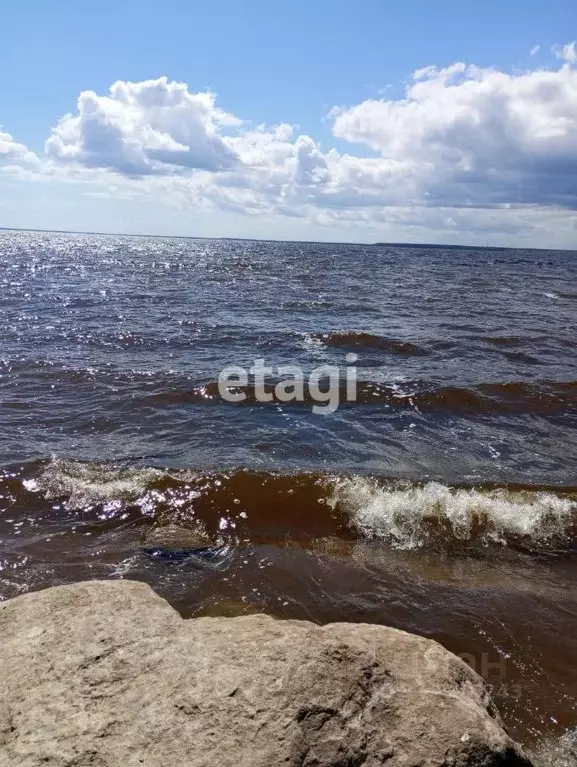 Дом в Ленинградская область, Кингисеппский район, Ивангородское ... - Фото 0