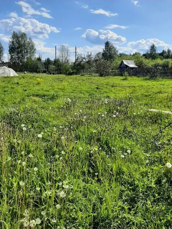 Участок в Тверская область, Конаковский муниципальный округ, д. ... - Фото 2