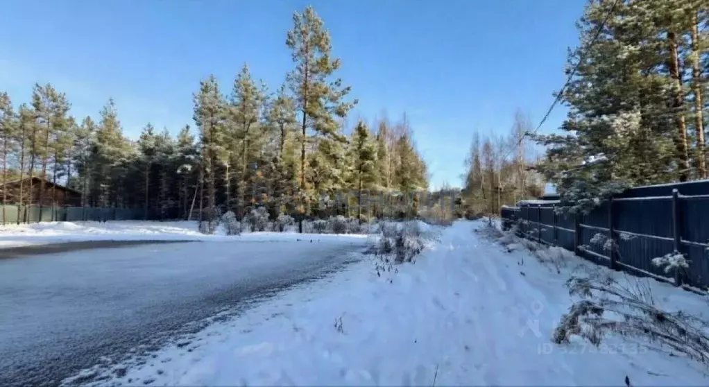 Участок в Нижегородская область, Городецкий муниципальный округ, д. ... - Фото 1